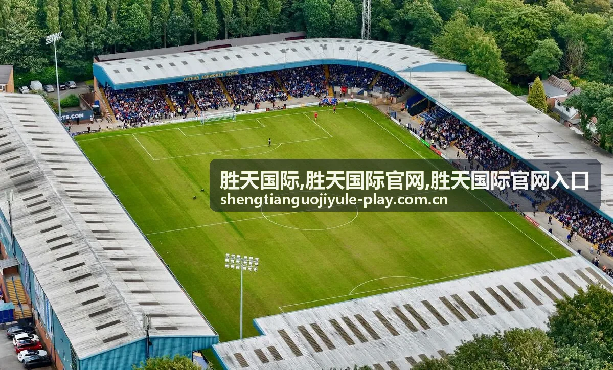 胜天国际服务说明配图